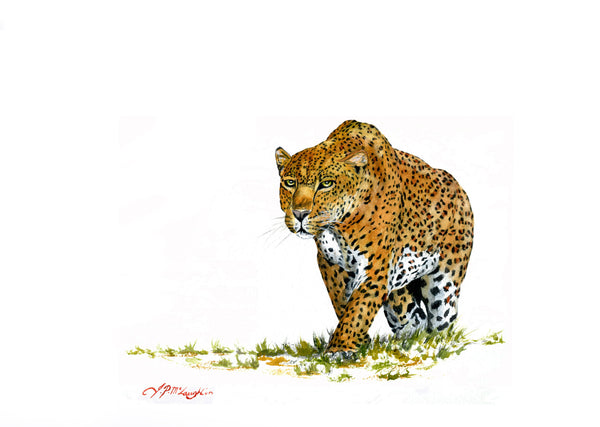 The Hunter (Leopard art)