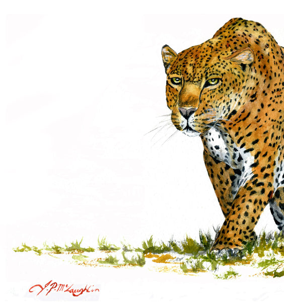 The Hunter (Leopard art)